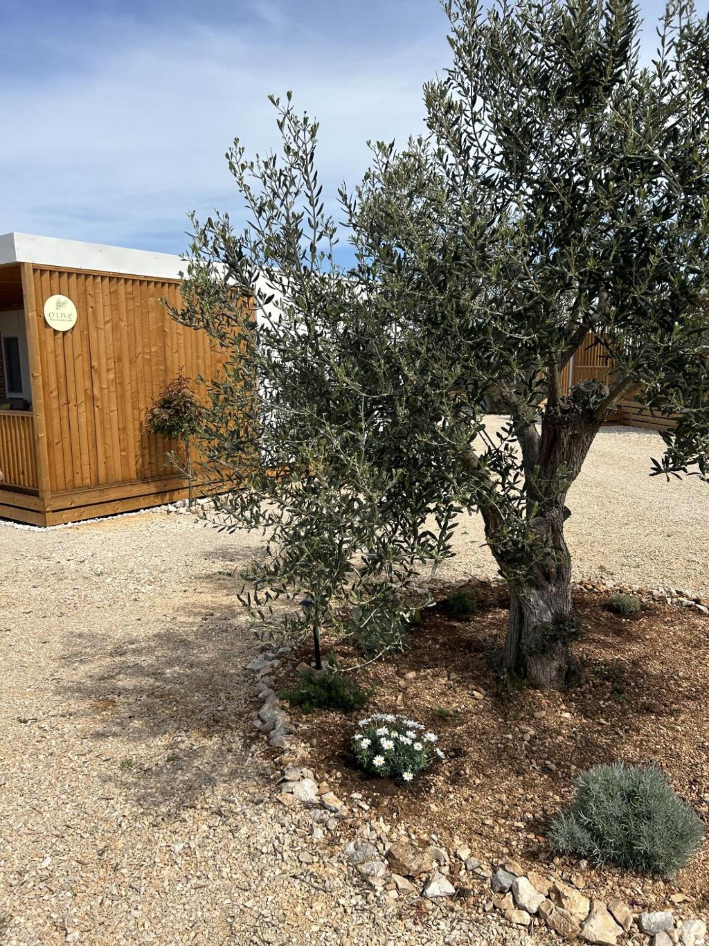 O'Live Premium Mobile Home Drage Dış mekan fotoğraf
