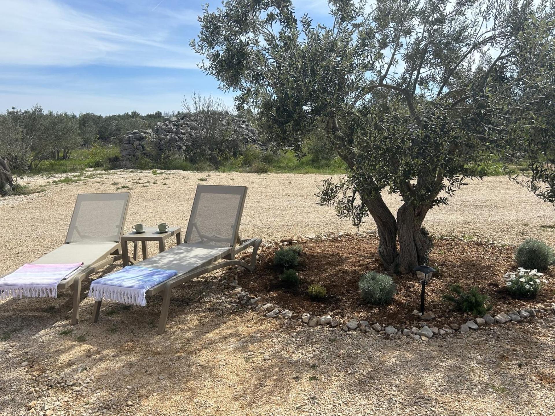 O'Live Premium Mobile Home Drage Dış mekan fotoğraf
